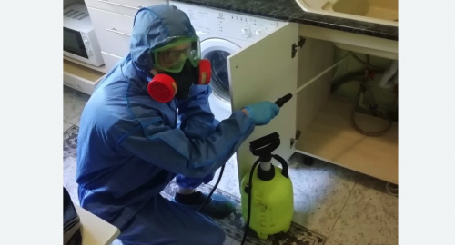 Уничтожение муравьев в квартире. Муравленко