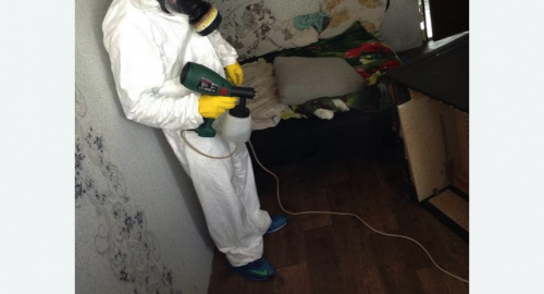 Обработка квартир от насекомых в Муравленко