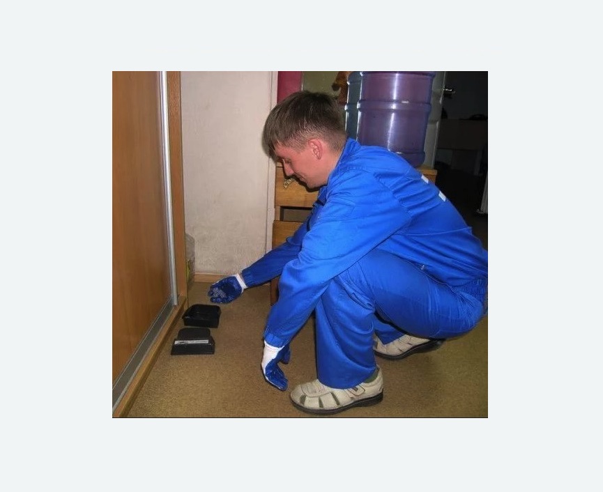 Дератизация крыс в Муравленко