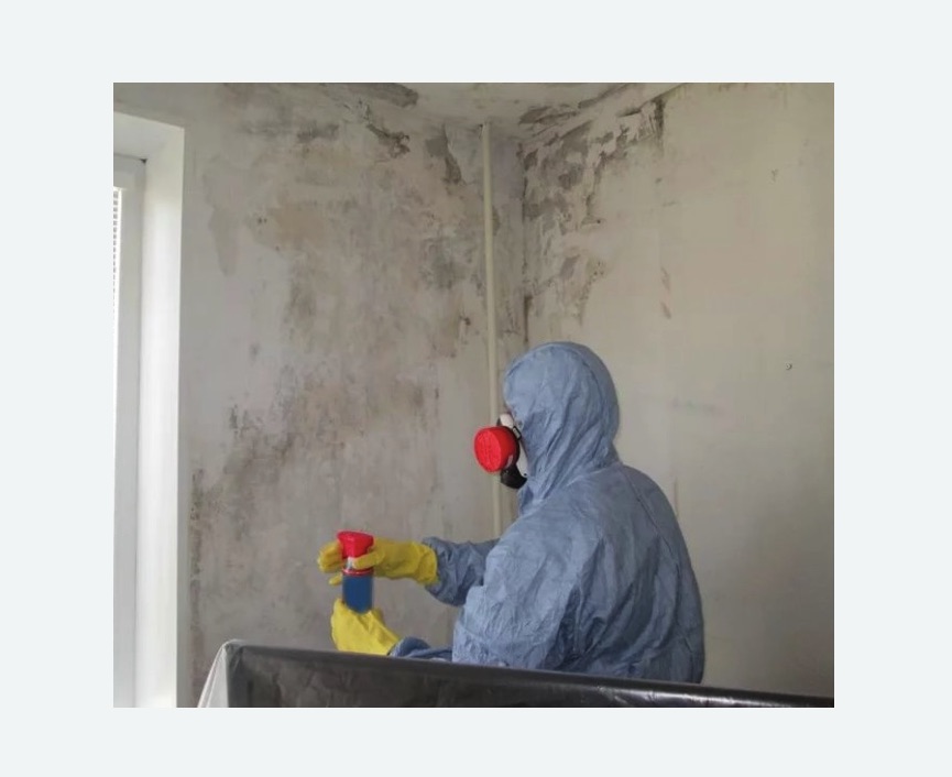 Удаление плесени в квартире в Муравленко