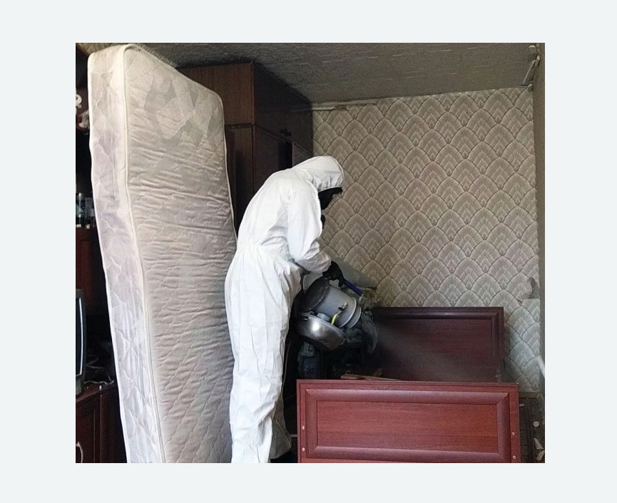 дезинфекция от клопов в Муравленко