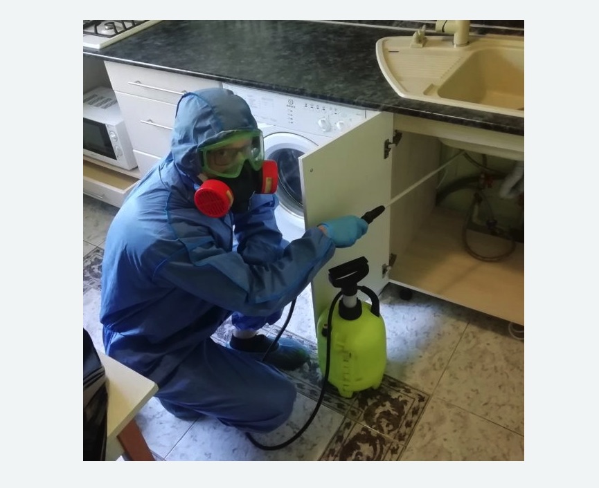 обработка от муравьев в квартире в Муравленко