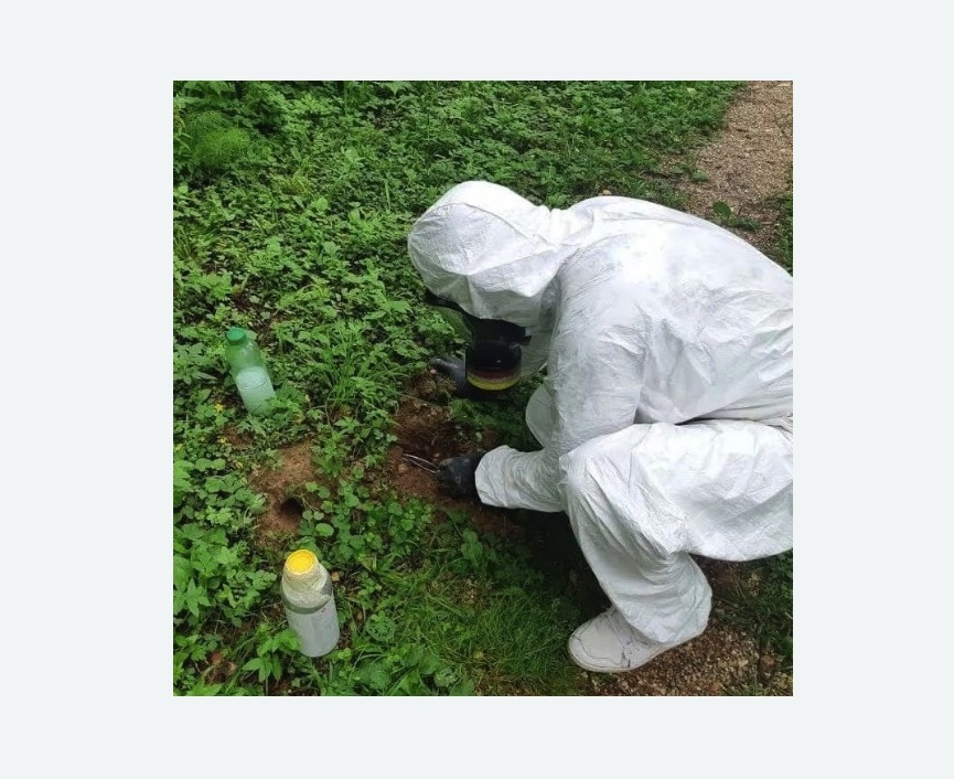 уничтожение кротов на участке в Муравленко