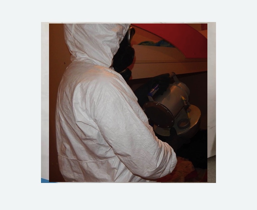 Дезинфекция от муравьев в Муравленко