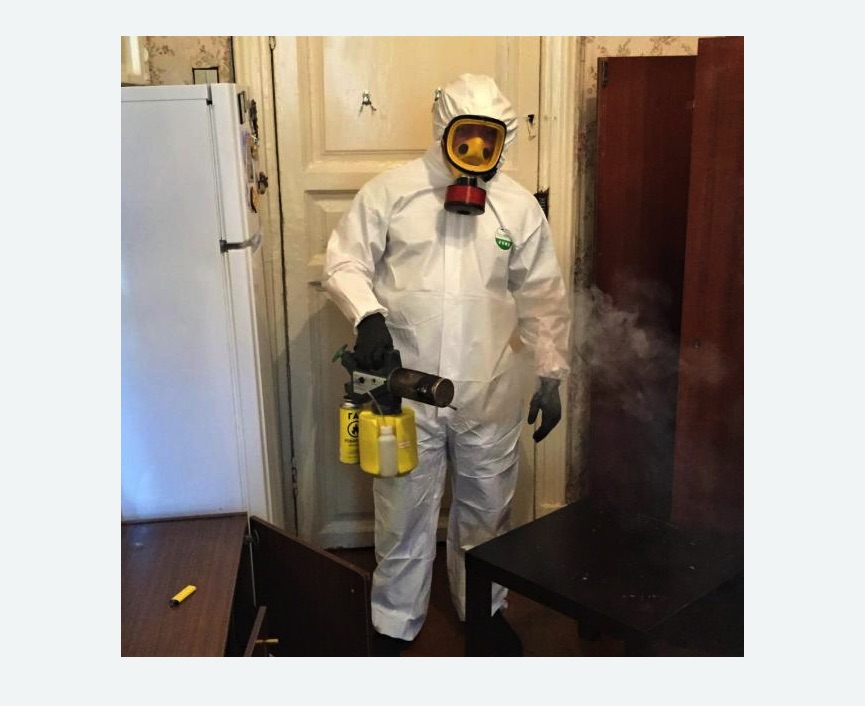 уничтожение муравьев в квартире в Муравленко